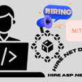 ASP .Net Developer | Dedicated Remote Developers For Your Project  | Litoust India