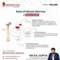 How Chemotherapy Affects Daily Life And Ways To Cope