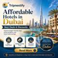 Affordable Hotels In Dubai &ndash; Best Deals & Discounts | Tripnestify