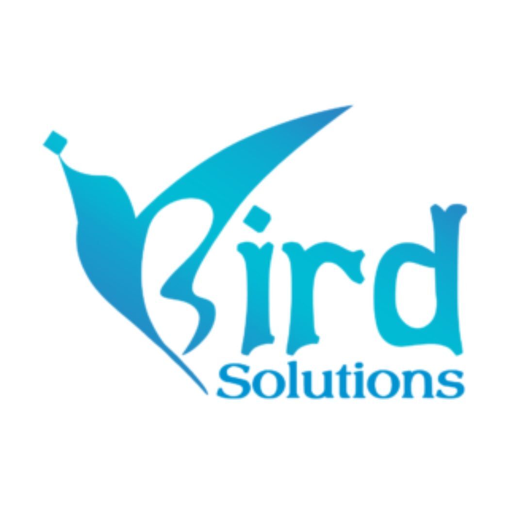 Ahmedabad, Marketing, IBird Solutions &ndash; AI SEO, AEO, GEO, Digital Marketing & Website Development Company