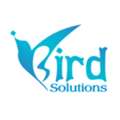 IBird Solutions &ndash; AI SEO, AEO, GEO, Digital Marketing & Website Development Company