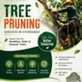 Affordable Tree Pruning Services In Hyderabad
