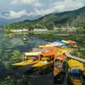 INR 24999,  Srinagar Delights Tour  4 Nights PACKAGE CATEGORY : Family, Group DESTINATIONS COVERED : 4