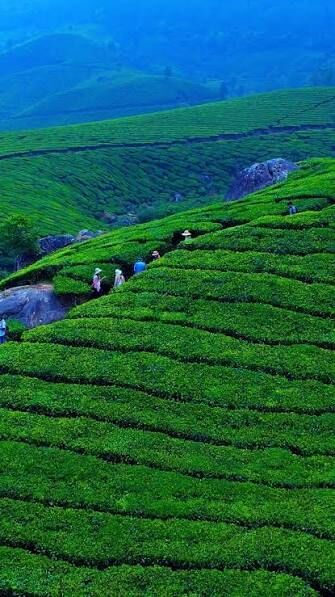 New Delhi, Tickets, INR 30999,  Amazing Gujarat 5 Nights PACKAGE CATEGORY : Family, Religious DESTINATIONS COVERED : 2N