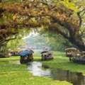 INR 23999,  Unlimited Memories At Kerala 4 Nights PACKAGE CATEGORY : Group, Best Price DESTINATIONS