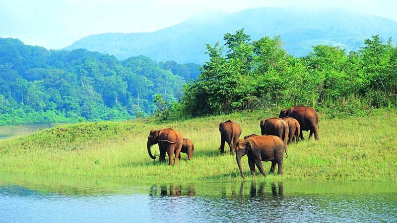 New Delhi, Tickets, INR 29999,  Mystic Beats Of Kerala 6 Nights PACKAGE CATEGORY : Family, Group DESTINATIONS COVERED : 2N