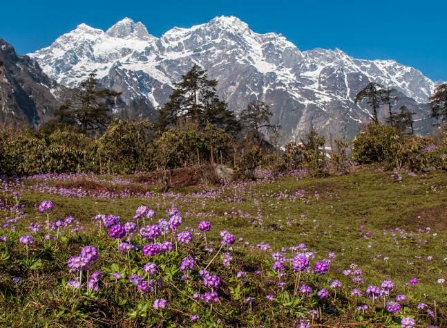 New Delhi, Tickets, INR 34999,  Sikkim- Incredibly Beautiful 5 Nights PACKAGE CATEGORY : Family, Group DESTINATIONS COVER