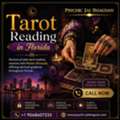 Tarot Reading In Florida