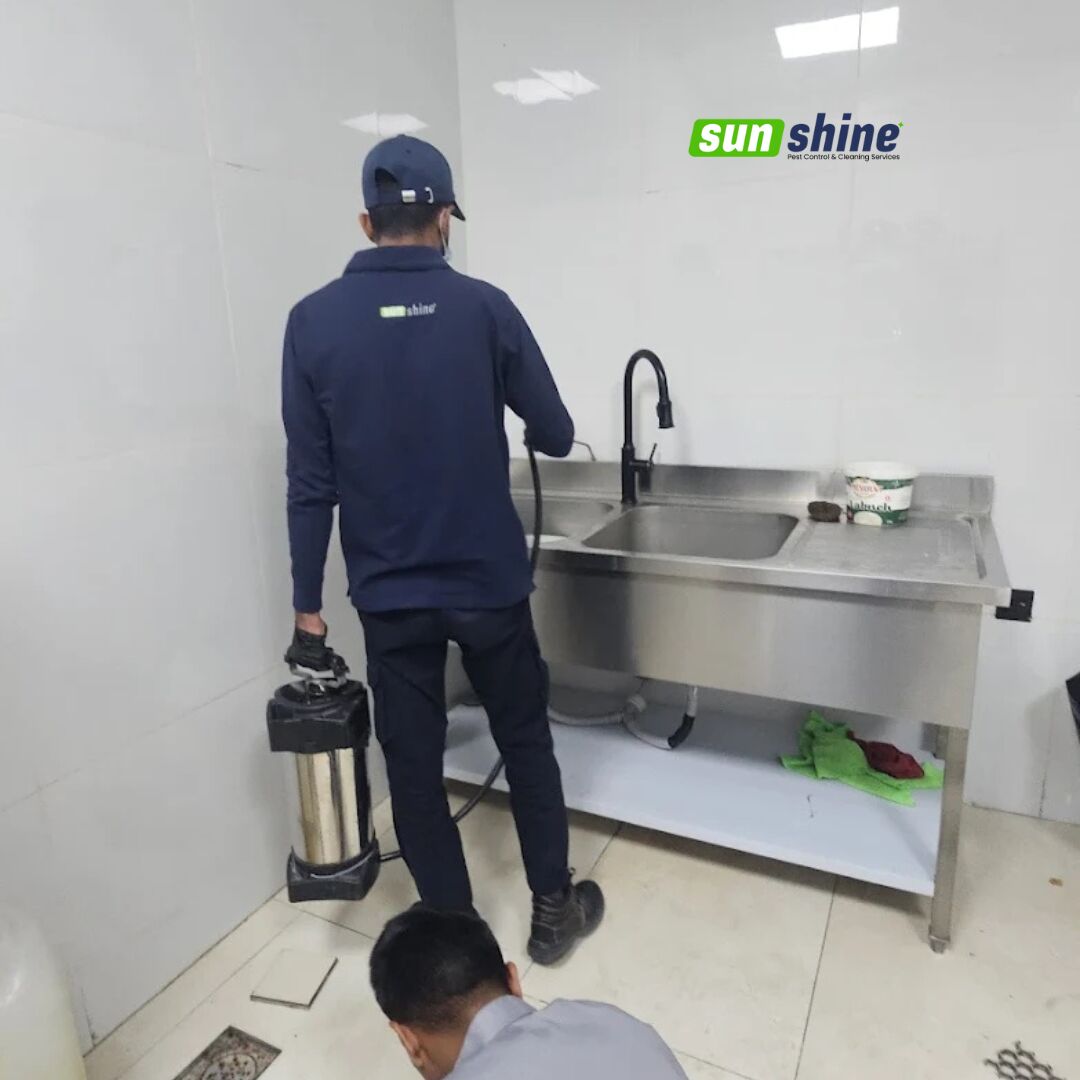 Riyadh, Pest Control, Best Pest Control Company In Riyadh
