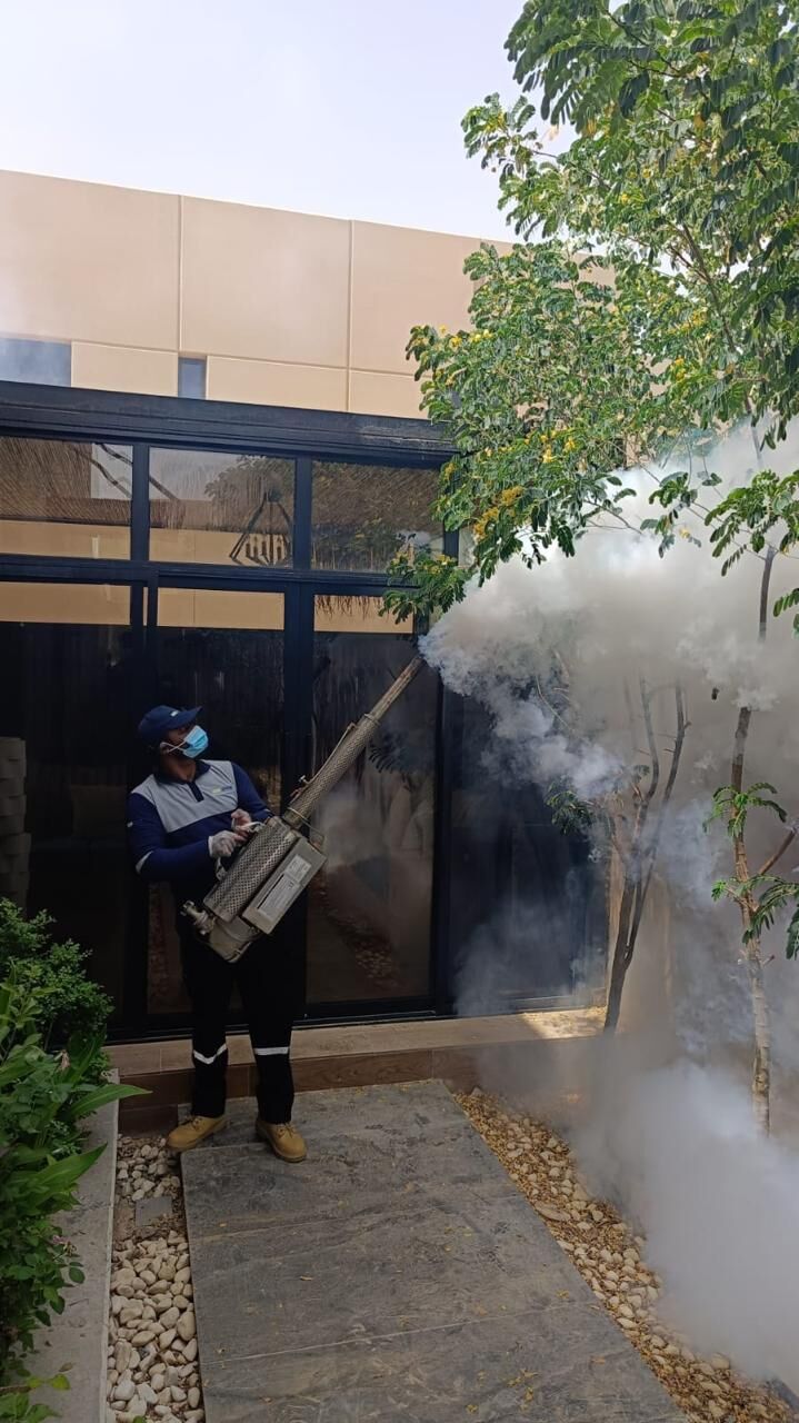 Riyadh, Pest Control, Best Pest Control Company In Riyadh