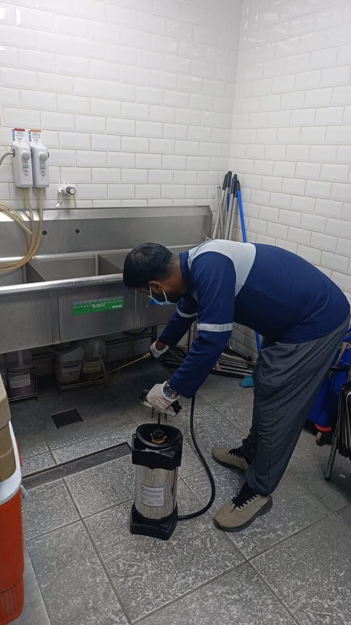 Riyadh, Pest Control, Best Pest Control Company In Riyadh