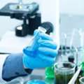 Hydrogen Silsesquioxane Ebl Resist