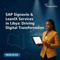 SAP Signavio & LeanIX Services In Libya | Prompt Edify