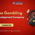 USD 5000,  Leading Casino Game Development Company For Digital Gaming Businesses