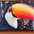 SAR 925, Urgent Move Out Sale - 55 Inch TCL 4K HDR Google TV