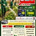 Labourer Required In Bulk Quantity
