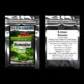 USD 3,  Heirloom Vegetable Seeds & Vegetable Seed Packets