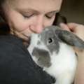 Small Pet Sitting Services In Ottawa