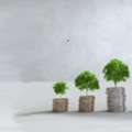 INR 400,  Compound Interest Calculator India | Simple Interest Calculator For Savings, Investments &
