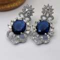 Drop Earrings | Stainless Steel Fashion Earrings