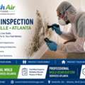 Professional Mold Inspection Services Atlanta