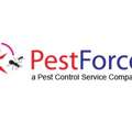 Calgary Pest Control For Homes And Businesses