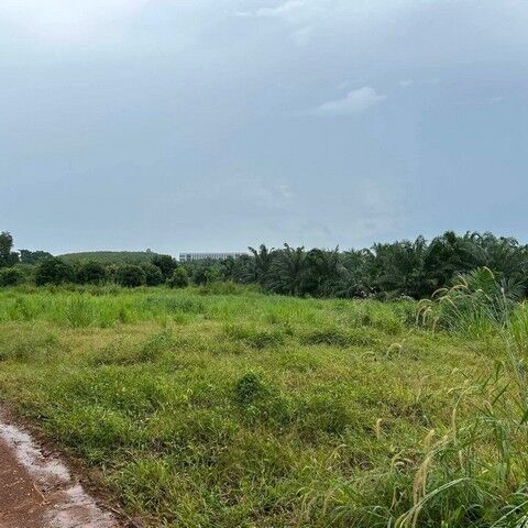Bangkok, Villas, THB 8500,  40000 Sq. Feet,  Land For Rent And Land For Sale, Prime Location Next To Rojana Industrial Estate, Nong