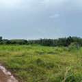 THB 8500,  40000 Sq. Feet,  Land For Rent And Land For Sale, Prime Location Next To Rojana Industrial Estate, Nong