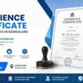 Documents Every IT Professional Should Keep Ready Before Applying For Jobs