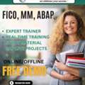 Confused Between SAP FICO And SAP MM? You're Not Alone. Thousands Of Students And Fresh Gr