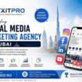 Ready To Grow Online? Discover Smarter SEO Solutions In Dubai