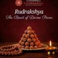 Genuine Rudraksha Shop In Hyderabad