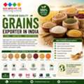 Trusted Exporter In India For Premium Grains & Agro Products | GLEE IMPEX