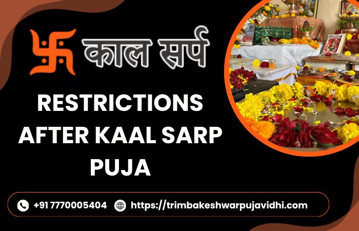 Mumbai, Business, Know Kaal Sarp Dosh Nivaran Puja Rules Before Booking