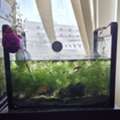 BHD 22, Acquarium