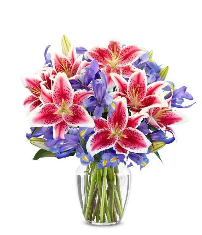 New York, Businesses For Sale, Lily Delivery | Gifts And Petals Petal Perfection
