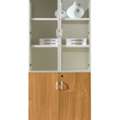 BHD 80,  OFFICE 2 DOOR CABINET