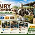 Professional Dairy Farming Courses For Career & Business