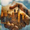 Grape To Golden Opportunity Investor Required As A Partner In Real Estate , Construction &