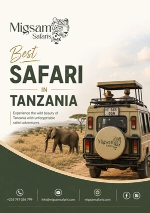 Dar es Salaam, Travel, Best Safari In Tanzania Explore Top National Parks