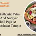 Book Authentic Pitra Dosh And Narayan Nagbali Puja At Trimbakeshwar Temple