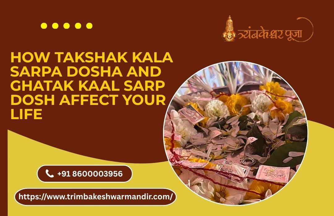 Mumbai, Business, How Takshak Kala Sarpa Dosha And Ghatak Kaal Sarp Dosh Affect Your Life