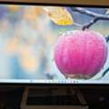 SAR 400,  Dell Monitor 31.5 Inch For Sale