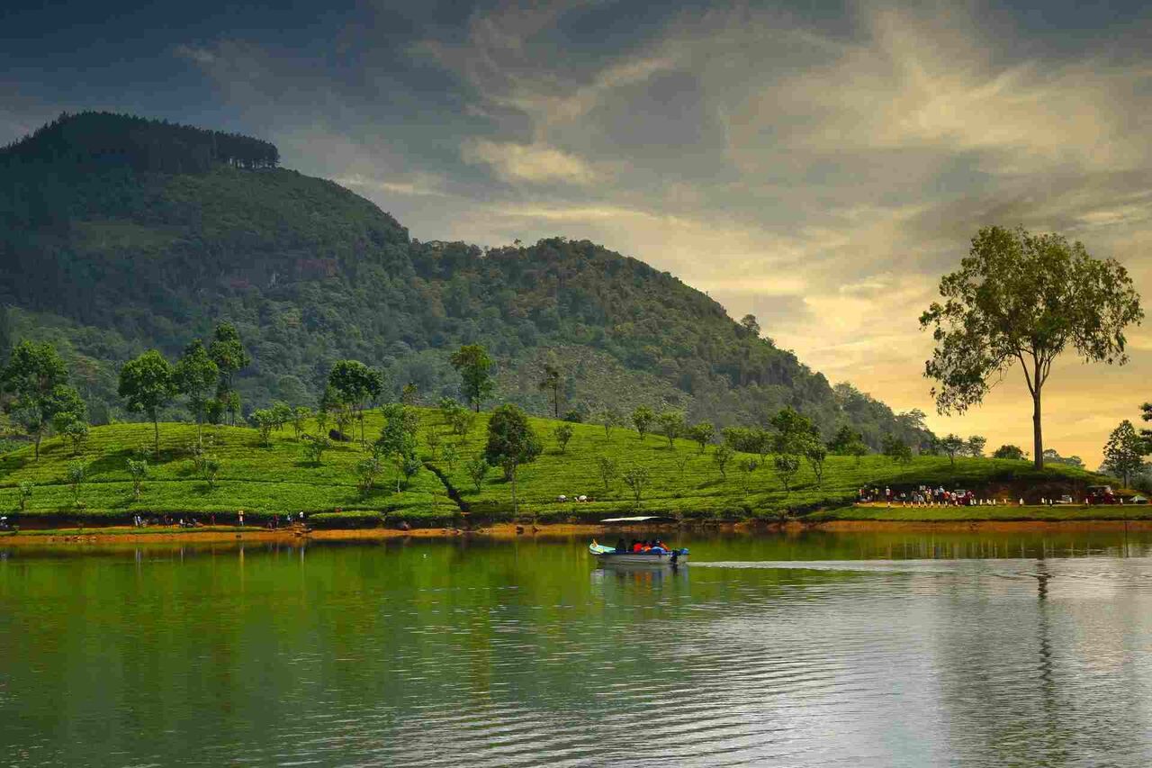 London, Travel, Sri Lanka Holidays Package: Experience An Island Full Of Wonders