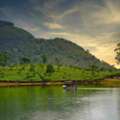 Sri Lanka Holidays Package: Experience An Island Full Of Wonders