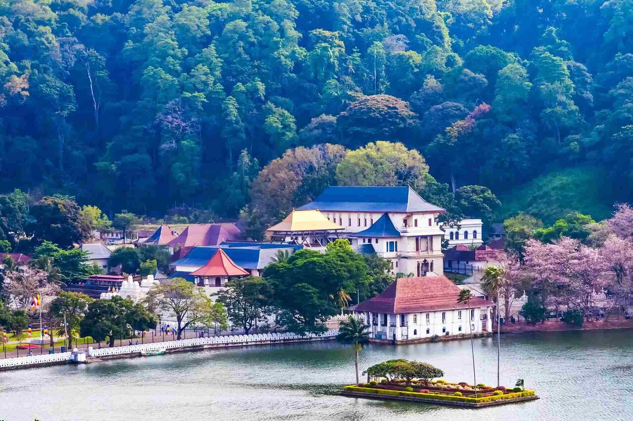 London, Travel, Sri Lanka Holidays Package: Experience An Island Full Of Wonders