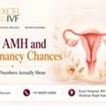 Low AMH And Pregnancy Chances: What The Numbers Actually Mean