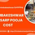 Complete Kaal Sarp Dosh Puja Procedure By Authorised Pandit