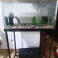 BHD 8,  Aquarium With Stand