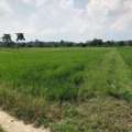 THB 2500000,  6 BR,  1333 Sq. Feet,  Beautiful Land For Sale On The Rin River, Chiang Mai, Area 3 Rai 1 Ngan 33.4 Sq M.